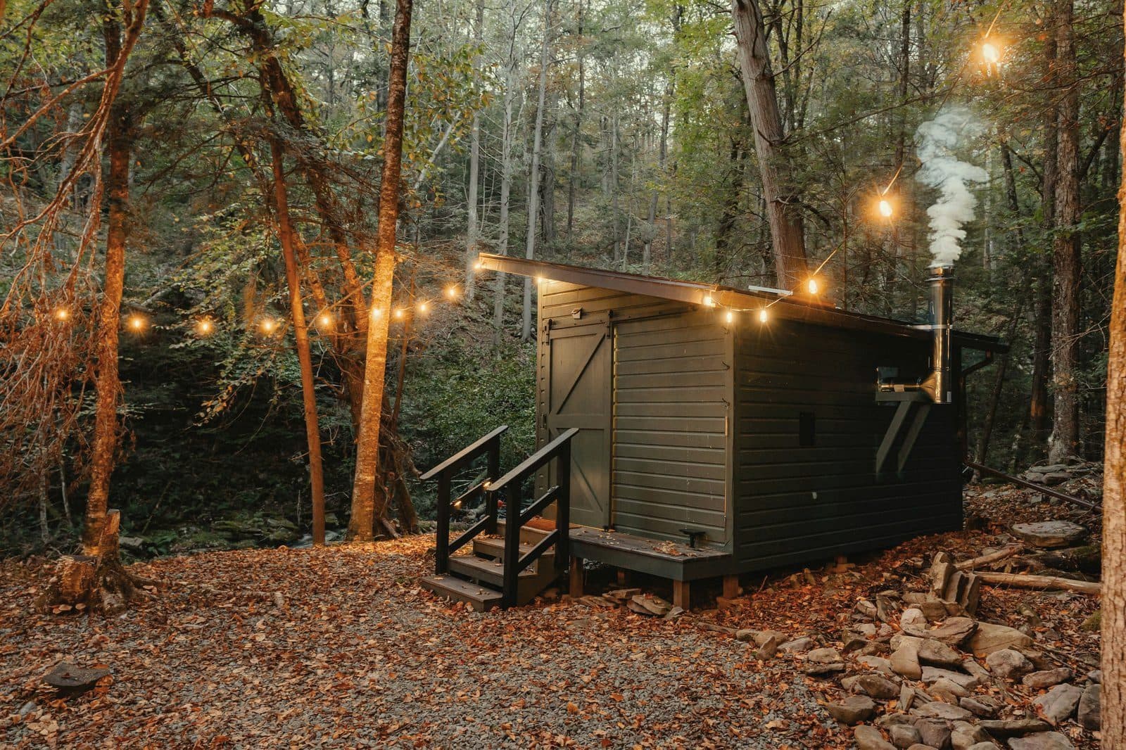 Wood-fired sauna cabin in woodland at dusk with festoon lights